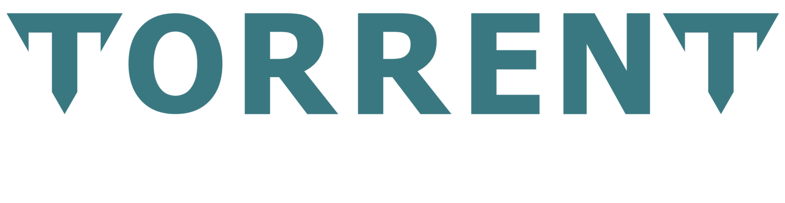 Torrent Fluid Solutions